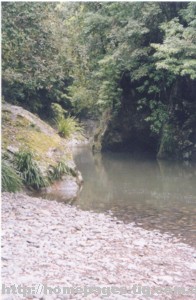 barrivcs.jpg