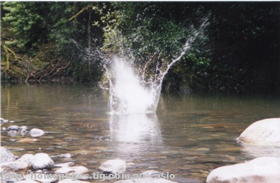 barsplash.jpg
